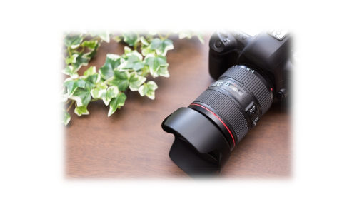 プロカメラマン撮影